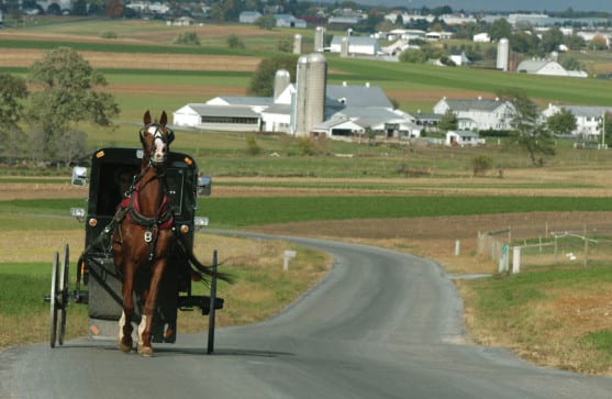 Amish History & Beliefs