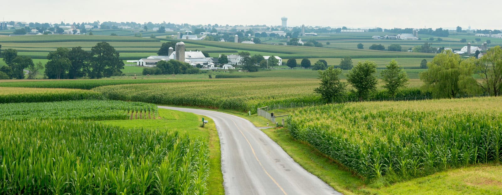 Contact BirdinHand in Lancaster County, PA Contact Us