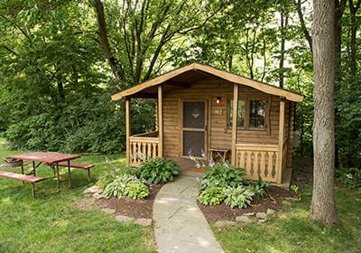 Cabin and Open Area