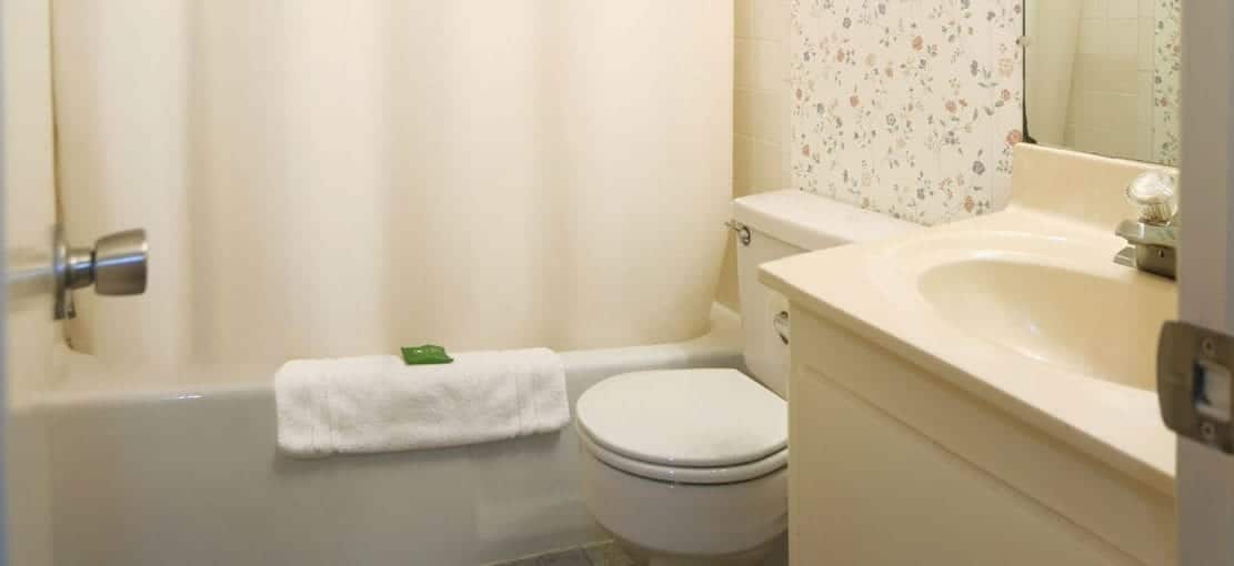 Private Bathroom in Bird in Hand, PA