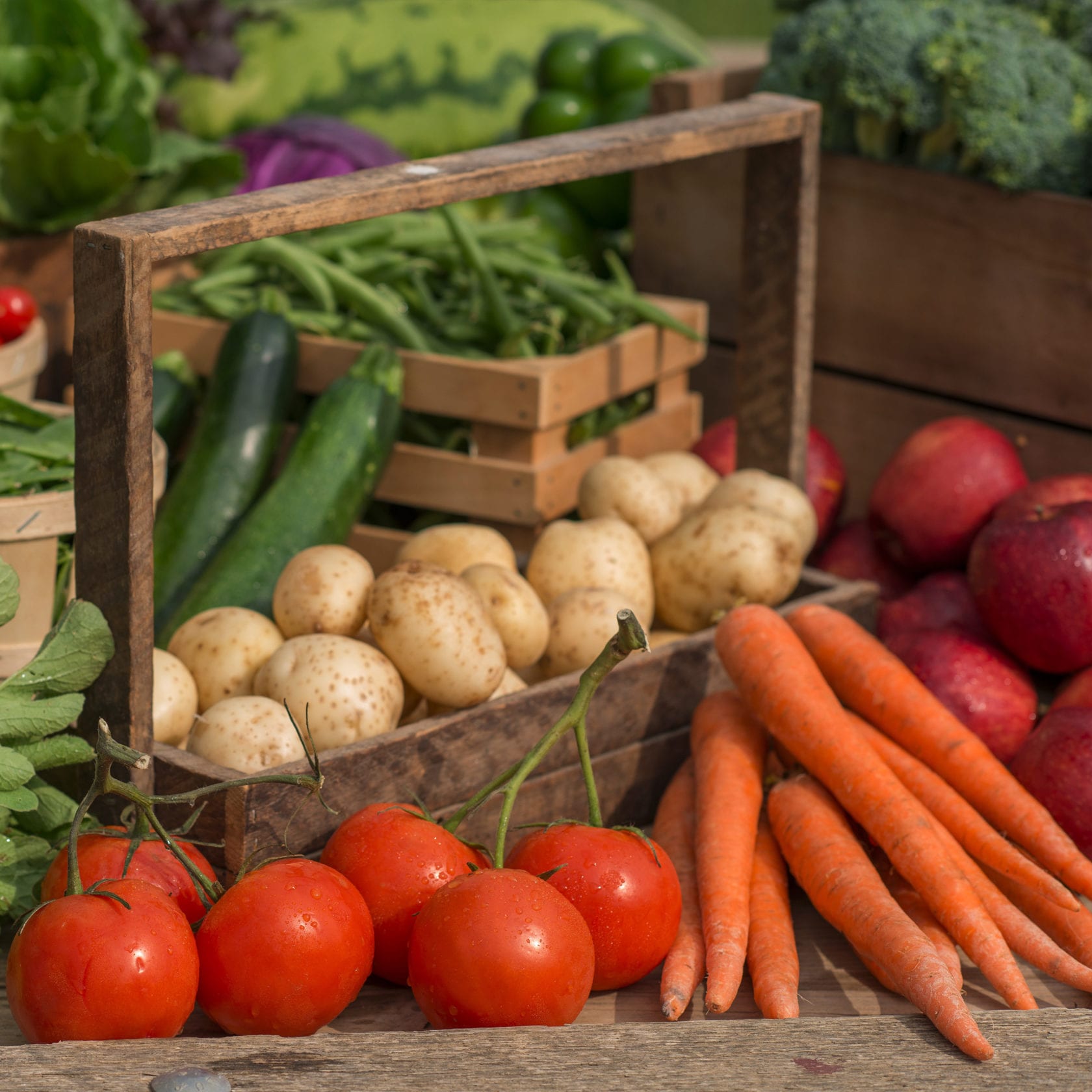 roadside stands and farmers markets in Lancaster, PA