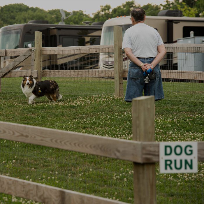 Country Acres Campground guests bring well-behaved dogs