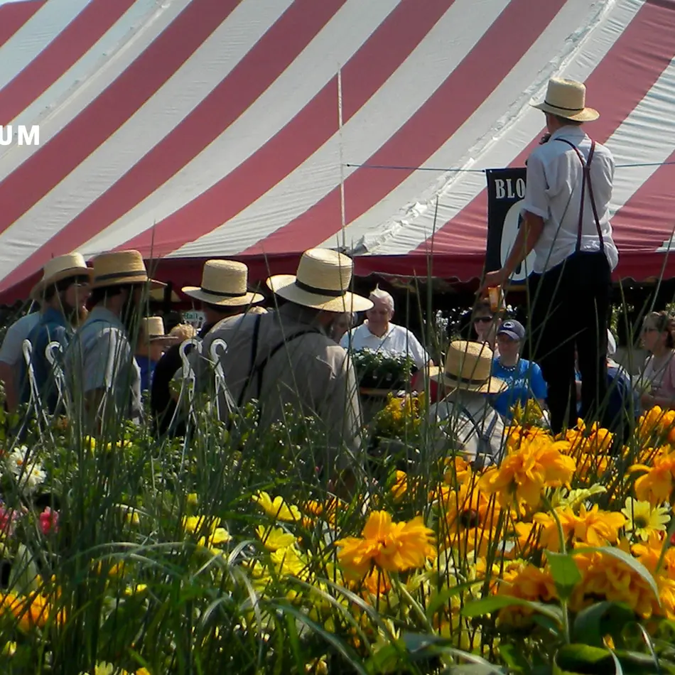 Amish Fall Harvest in Lancaster's Amish Country