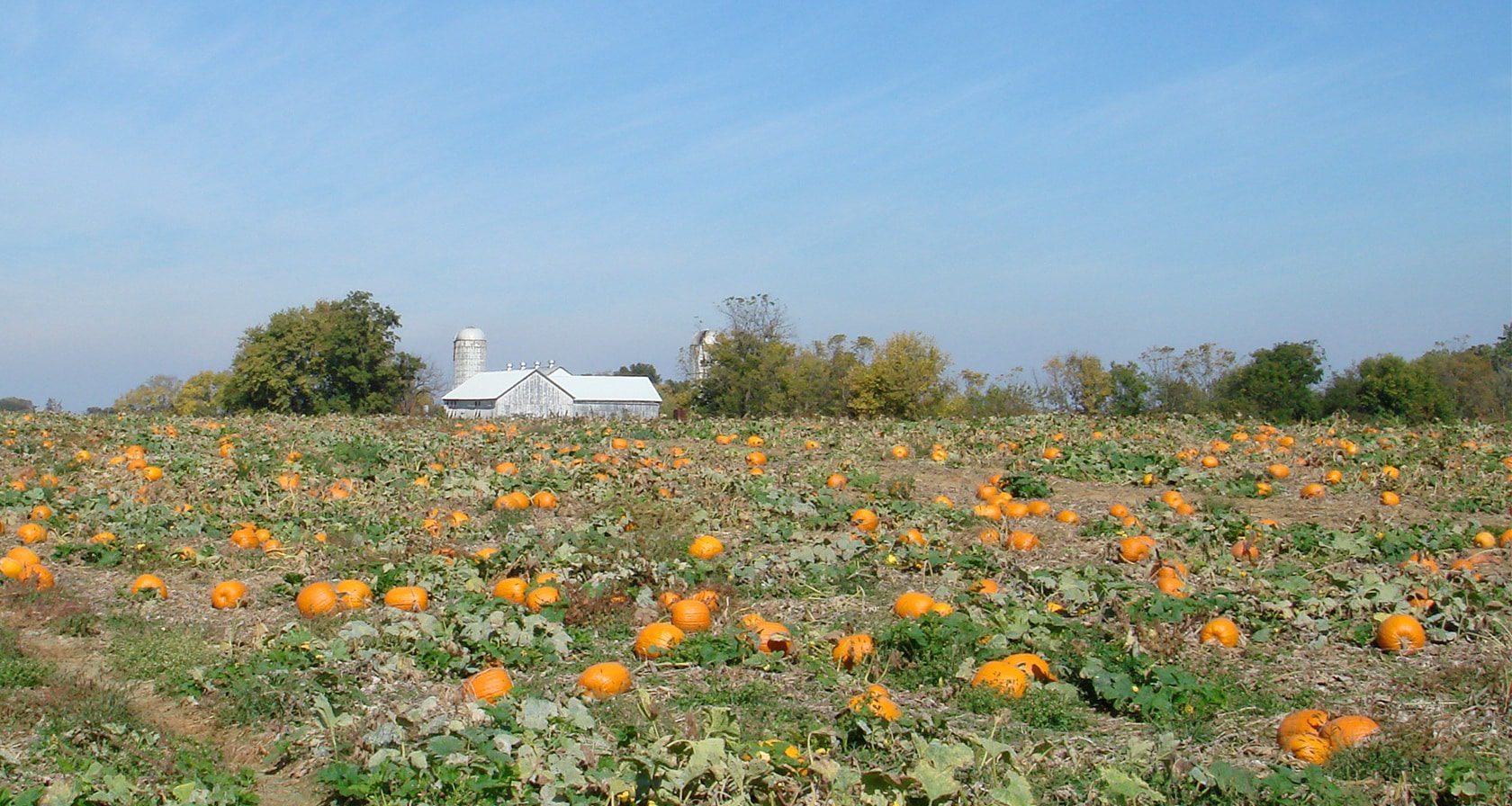 Experience BirdinHand, PA Lancaster County PA's Amish Country