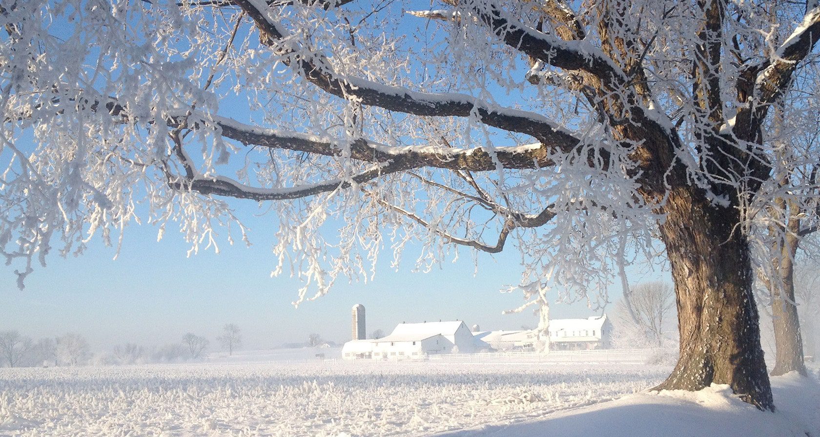 Experience BirdinHand, PA Lancaster County PA's Amish Country