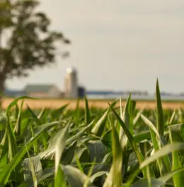 Top Things to Do in Lancaster, PA: A Local Guide for Every Traveler