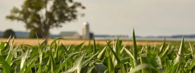 Top Things to Do in Lancaster, PA: A Local Guide for Every Traveler